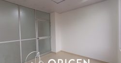 Oficina – Chico norte